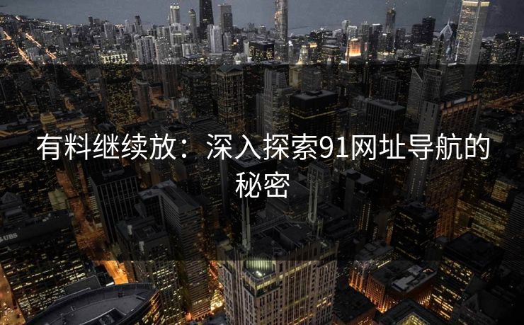 有料继续放：深入探索91网址导航的秘密